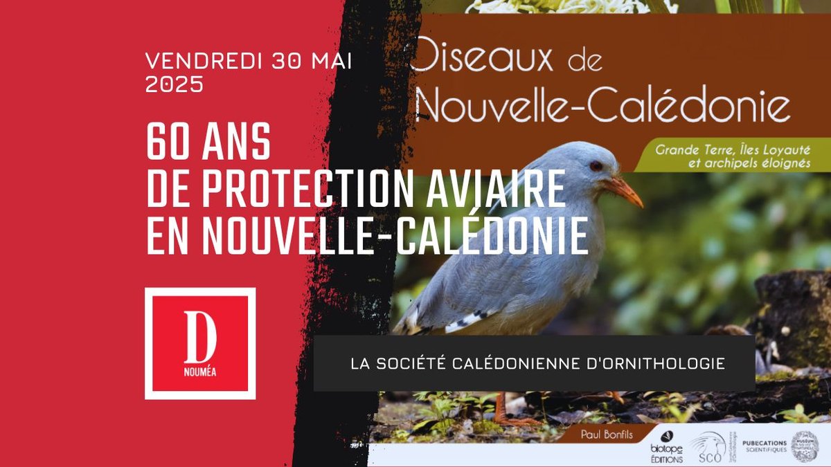 60 ans de protection aviaire