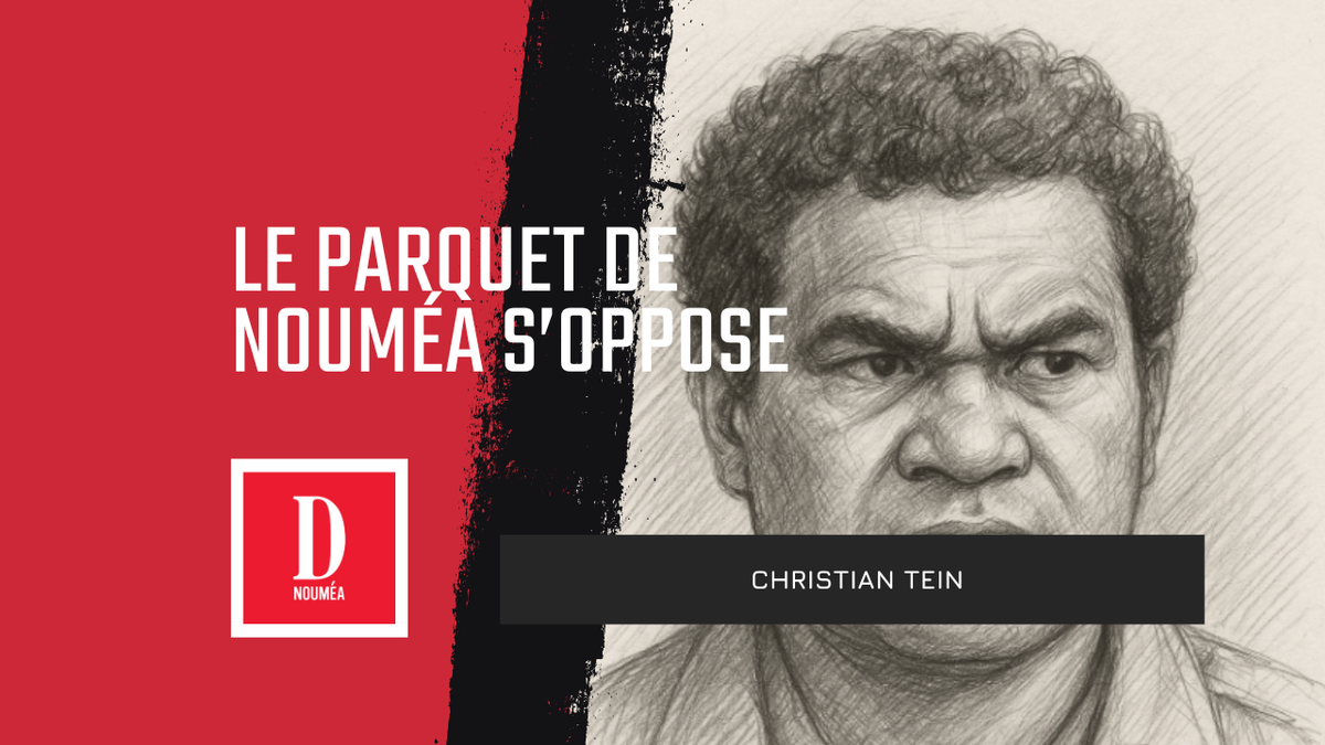 Le parquet s’oppose à la remise en liberté de Christian Tein