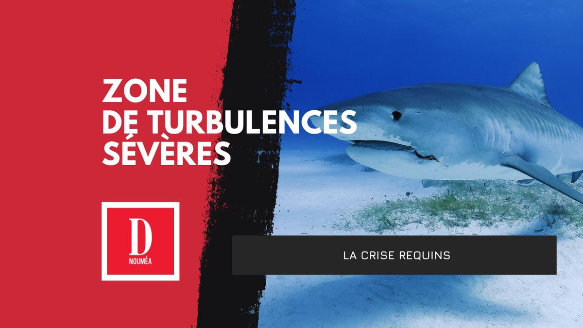 La crise requin freine durablement la plaisance