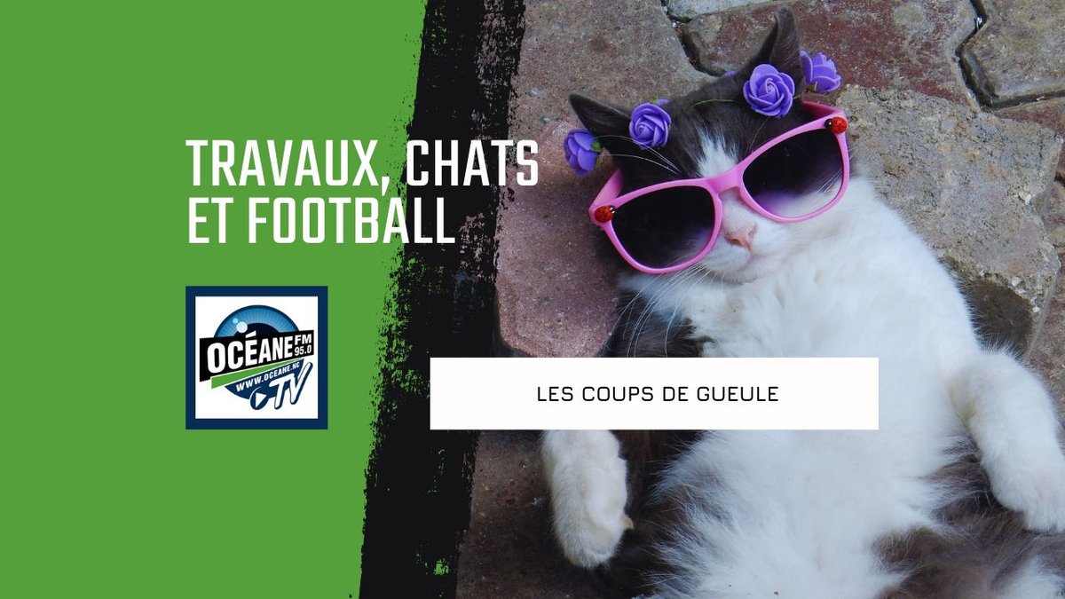 Travaux, chats et football