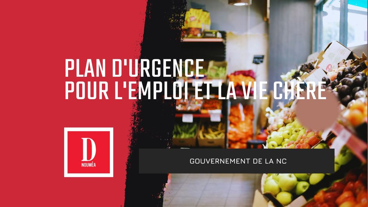Plan d’urgence pour l'emploi et la vie chère