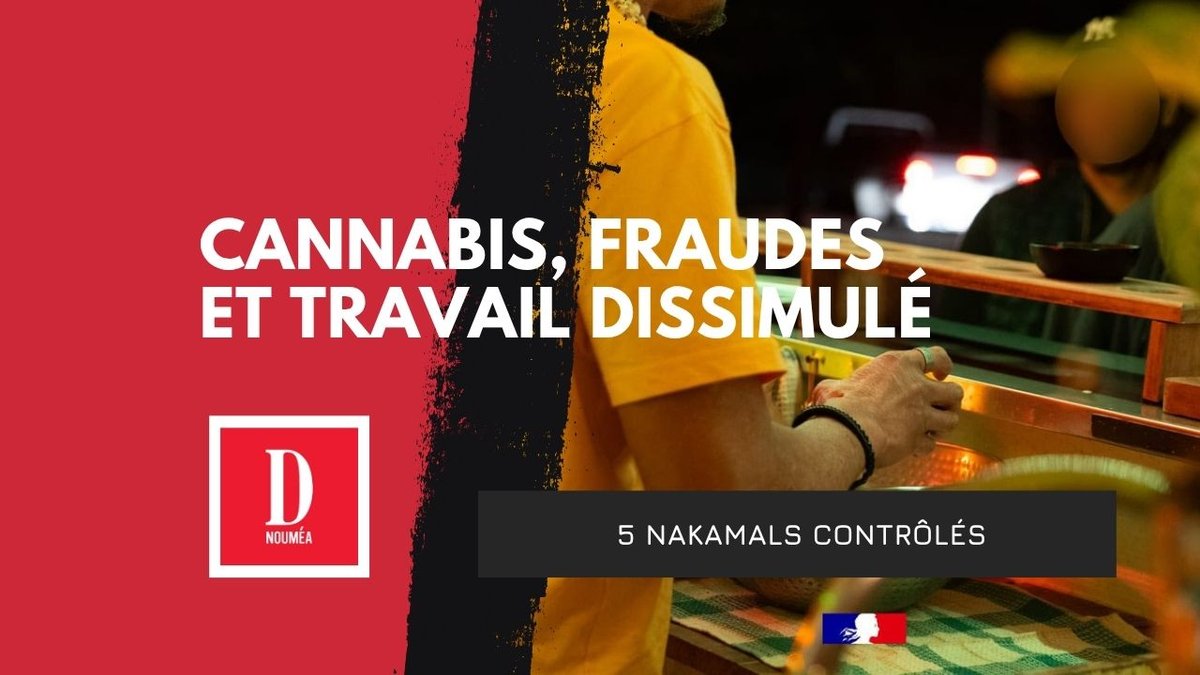 Cannabis, fraudes et travail dissimulé