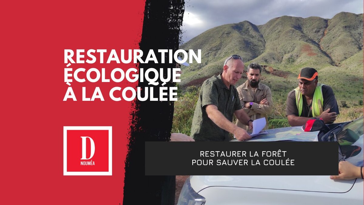 Vallée de La Coulée : restaurer la forêt pour sauver la rivière