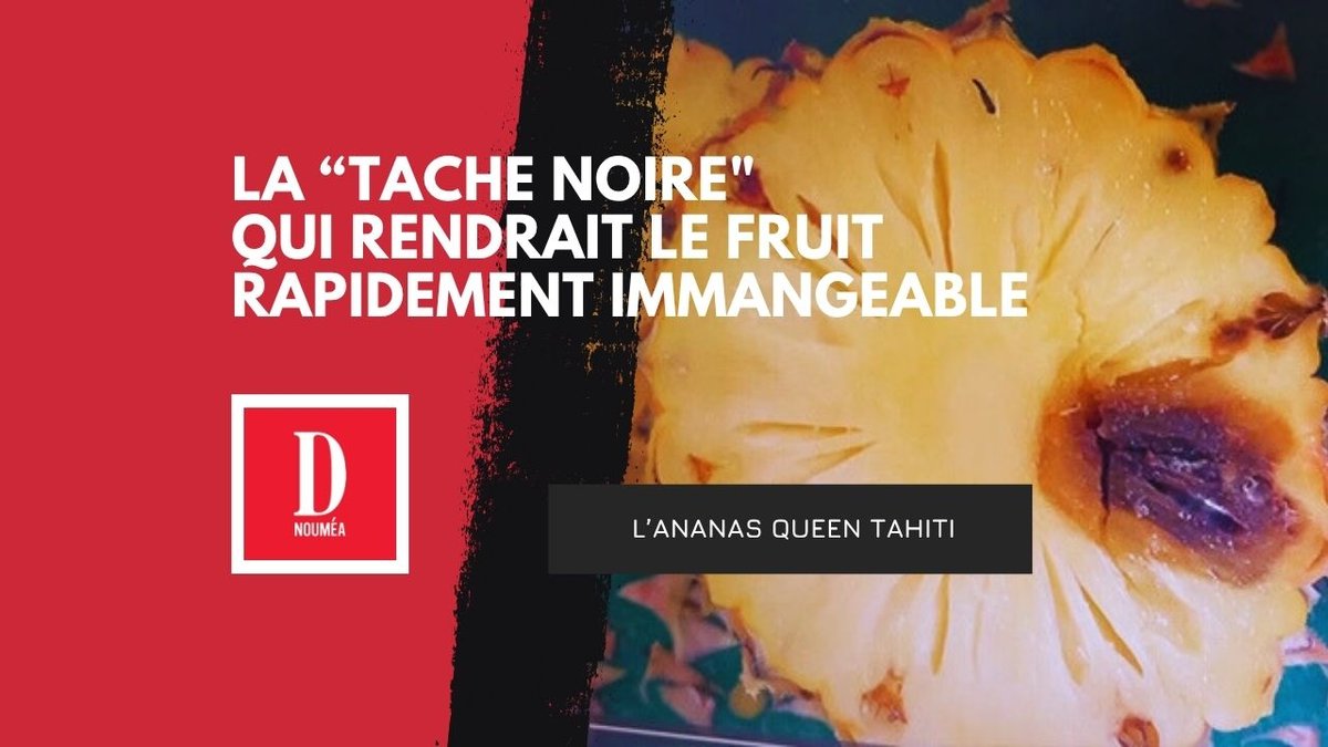 Polémique autour de la “tache noire”