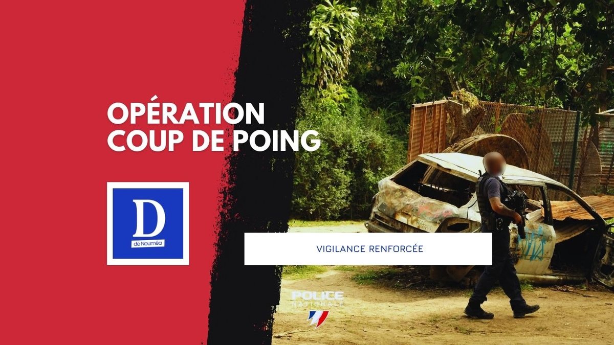 Cannabis : saisies record et lutte renforcée