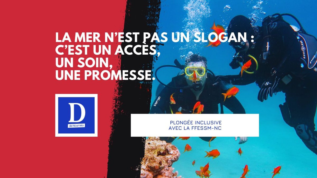 Plongée inclusive à Nouméa : la mer ouverte à tous