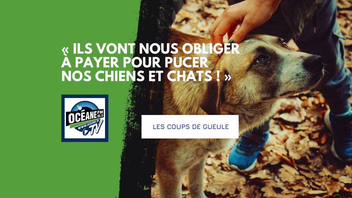 « Pucer nos animaux ? Ils fument quoi là-haut ? »