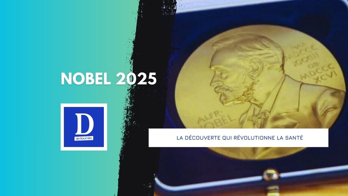 Le Nobel 2025 sacre la tolérance immunitaire