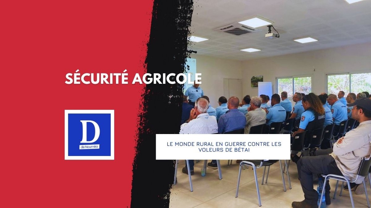 Éleveurs et gendarmes unis contre le chaos rural