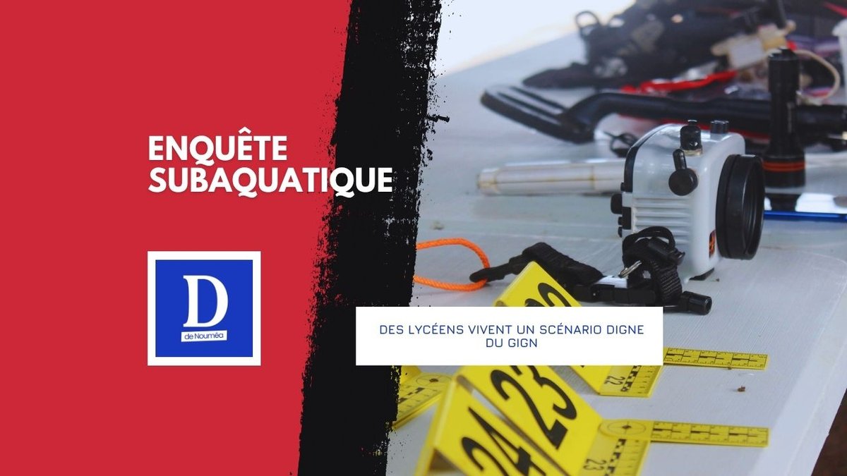 Ils plongent… et découvrent l’impensable sous l’eau !