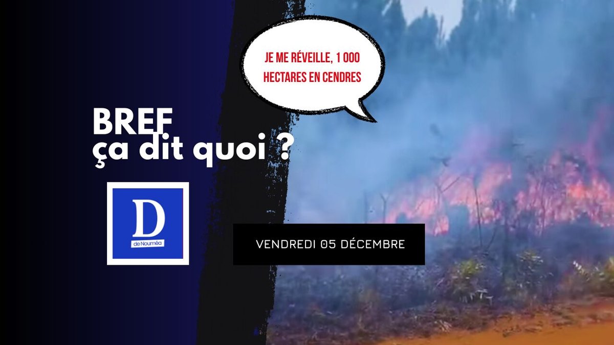 Je me réveille, 1 000 hectares en cendres