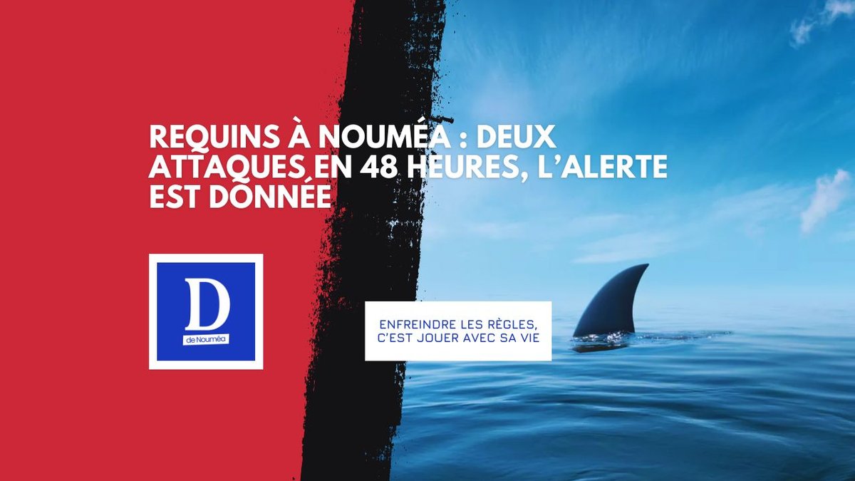 Deux attaques de requins à Nouville : la mer rappelle ses règles