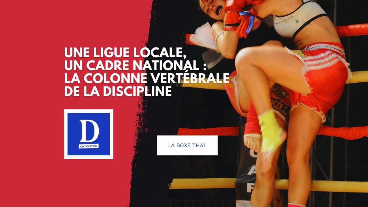 Boxe thaï : la filière qui frappe plus fort que l’isolement