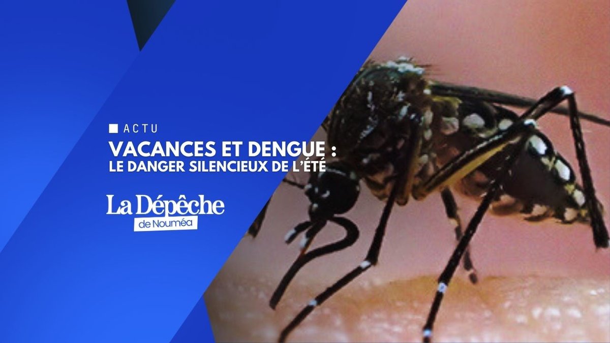 Dengue : la menace sanitaire que personne ne peut ignorer