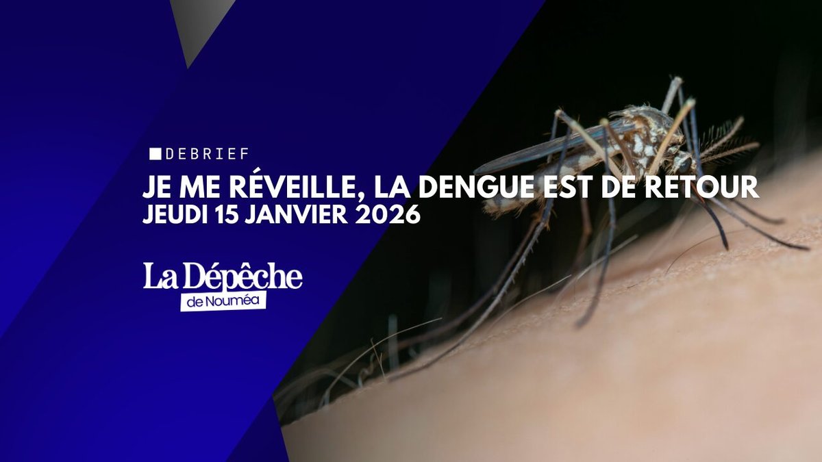 Je me réveille, la dengue est de retour