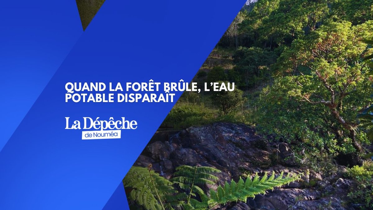 Feux de forêt : l’autre crise sanitaire que personne ne veut voir
