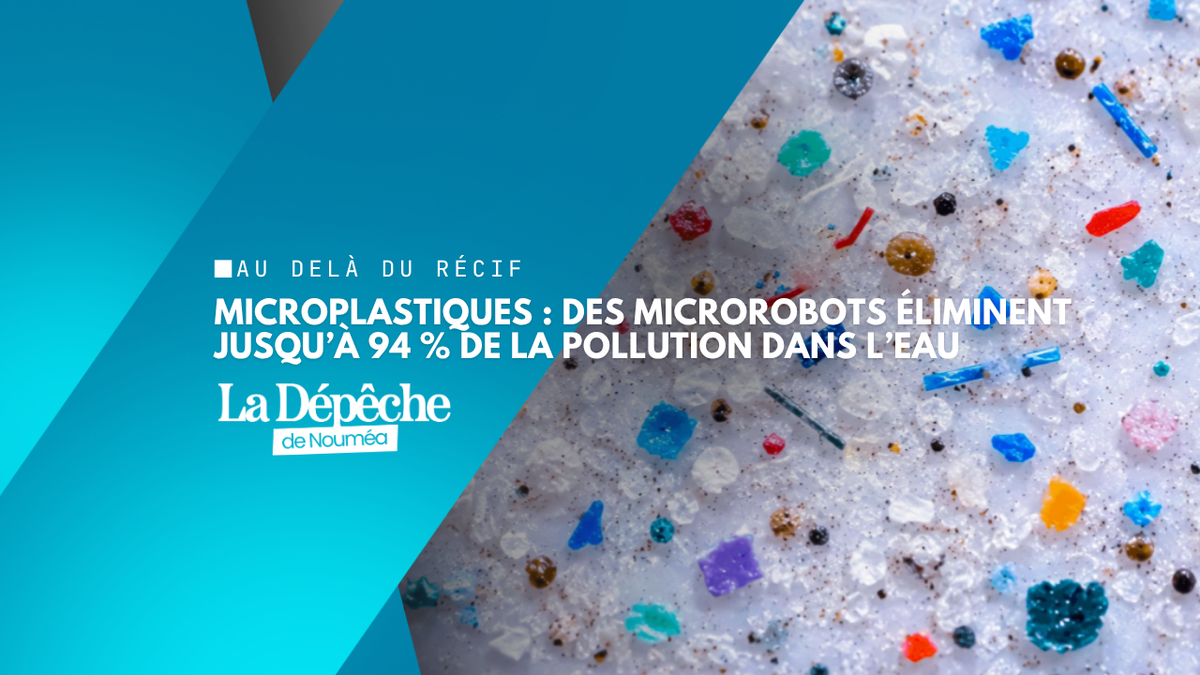 Microplastiques : des scientifiques tchèques développent des microrobots capables de dépolluer l’eau et les sols
