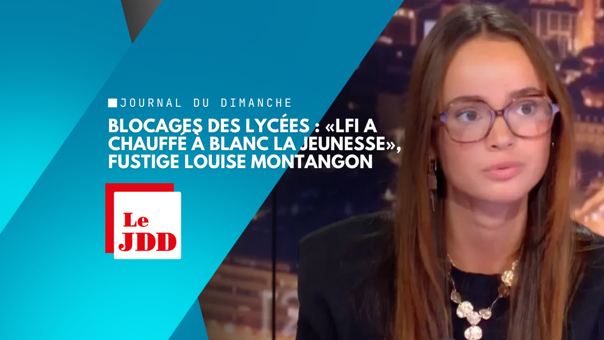Blocages des lycées : «LFI a chauffé à blanc la jeunesse», fustige Louise Montangon