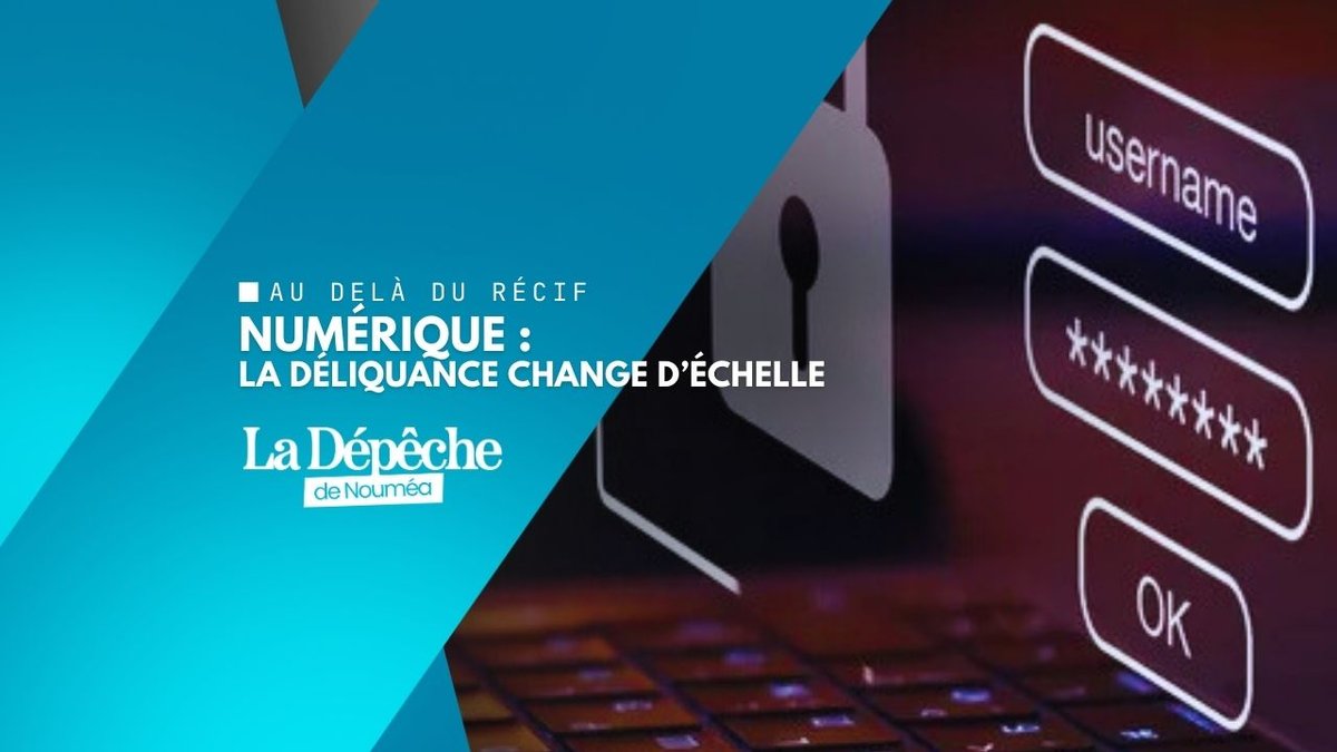 Délinquance numérique : l’État débordé ?