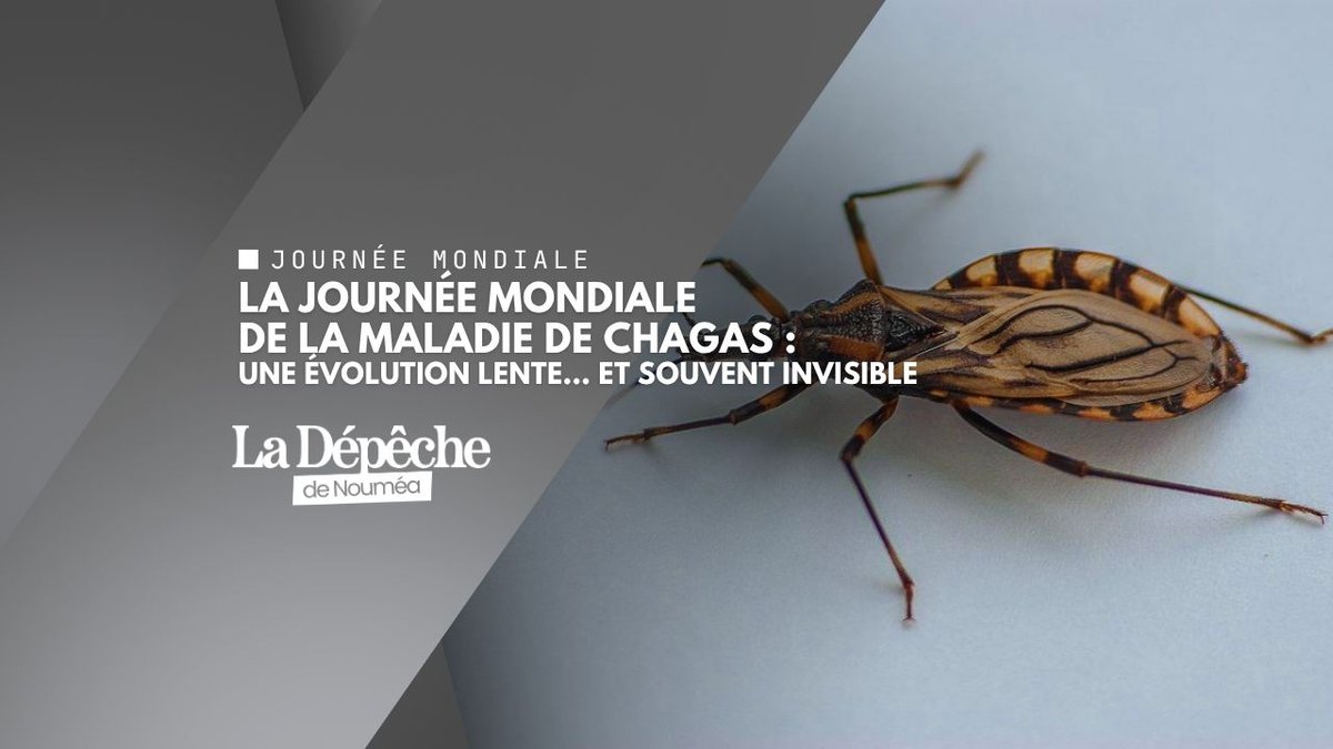 Maladie de Chagas : ce fléau silencieux qui rappelle les inégalités sanitaires mondiales