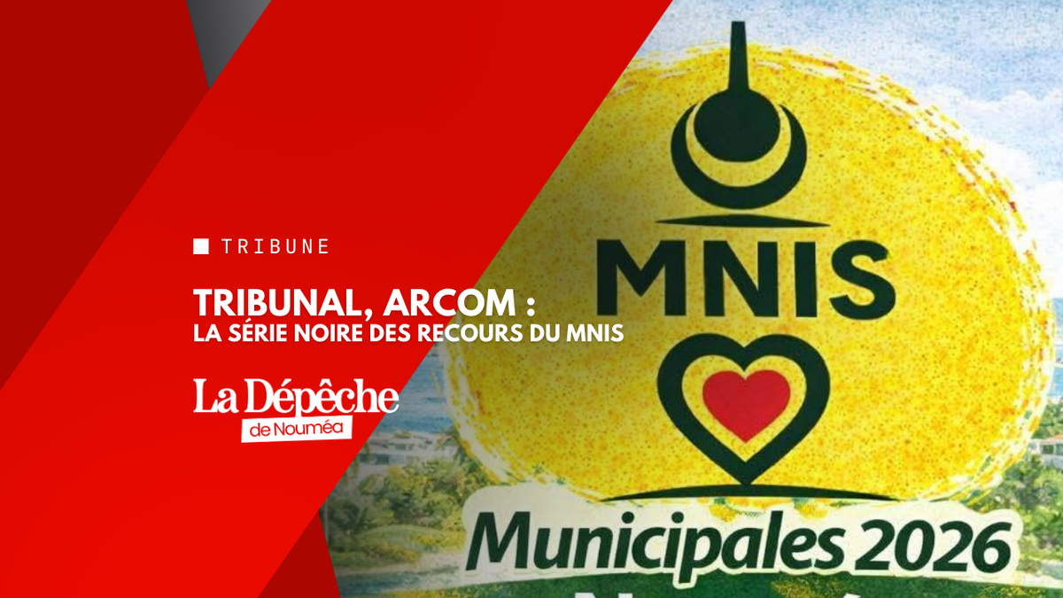 Tribunal, Arcom : la série noire des recours du MN