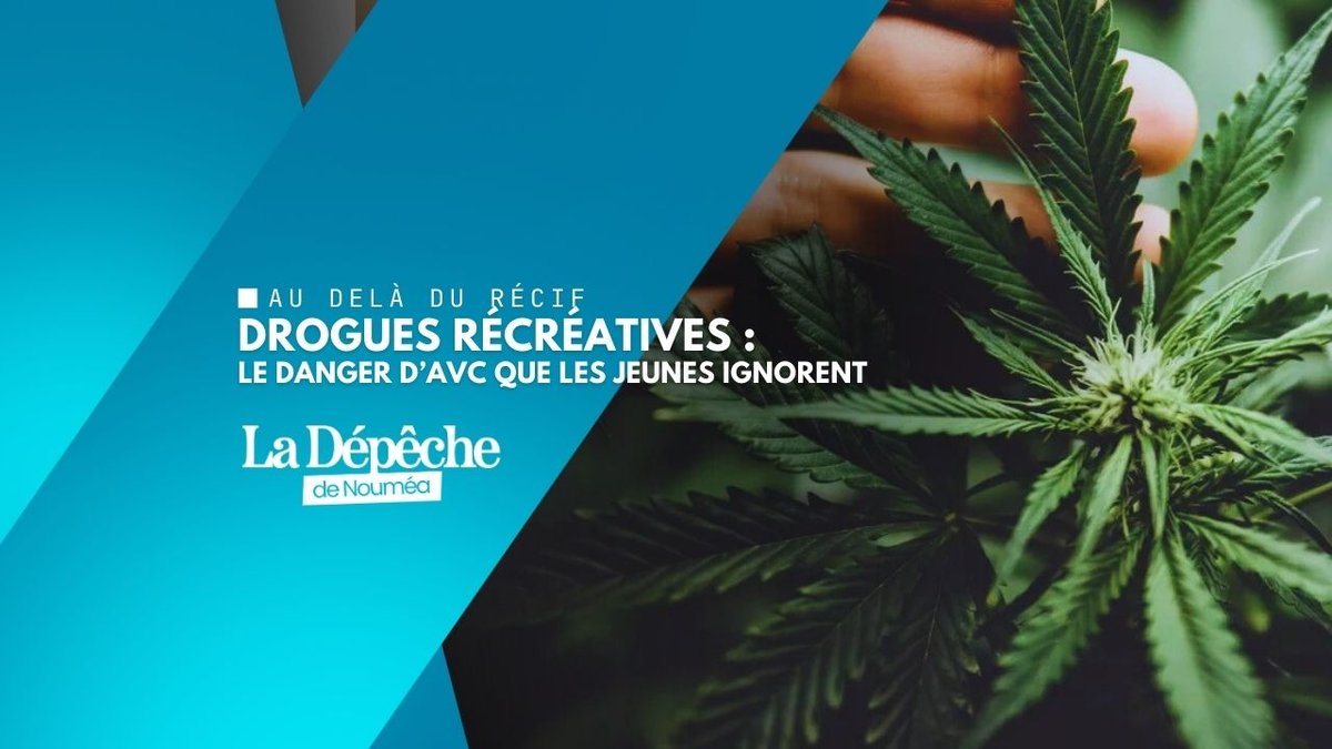 Cannabis : l’étude qui casse le mythe de la drogue “douce”