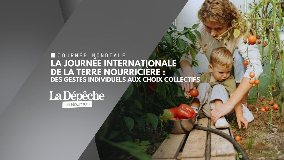 Terre nourricière : la Nouvelle-Calédonie face à ses contradictions environnementales