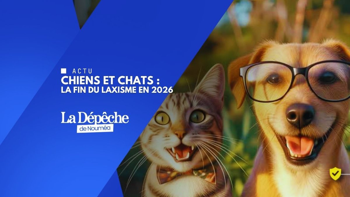 Chiens, chats : le puçage obligatoire va tout changer en 2026