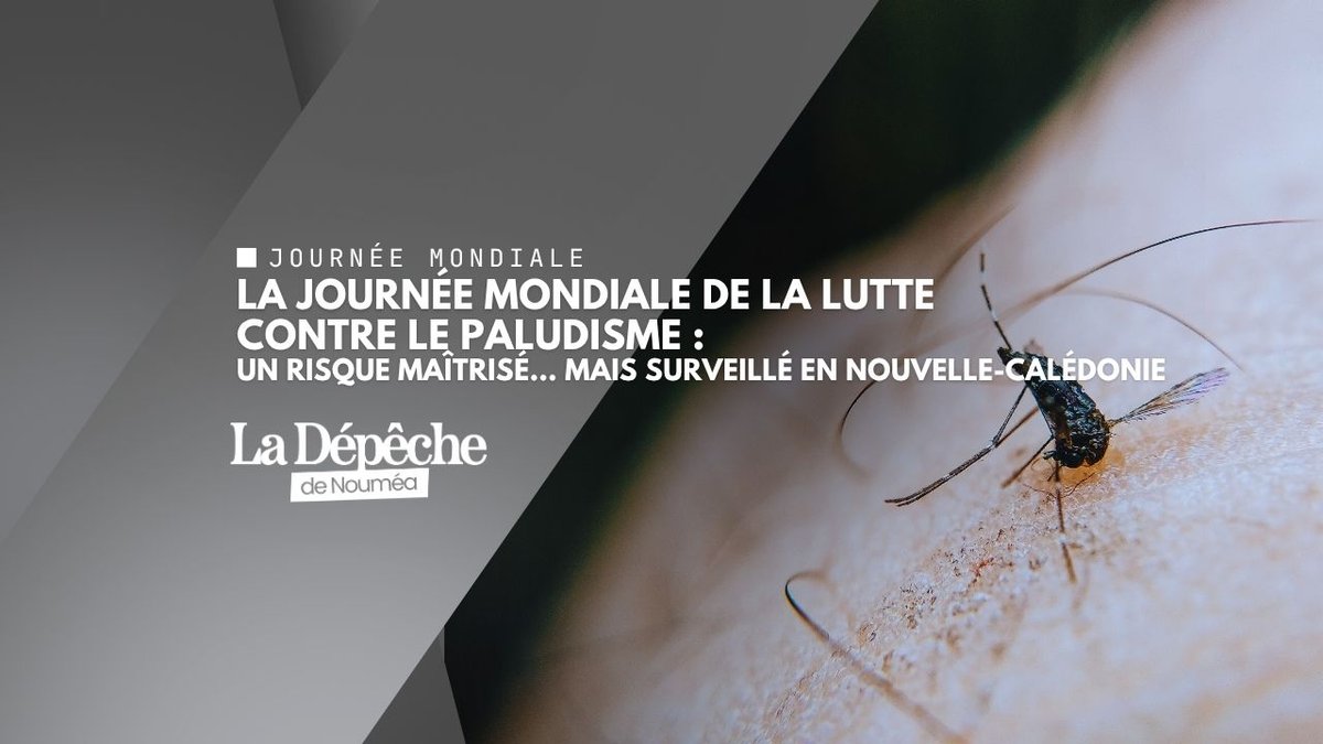 Paludisme : un danger mondial toujours présent aux portes du Pacifique