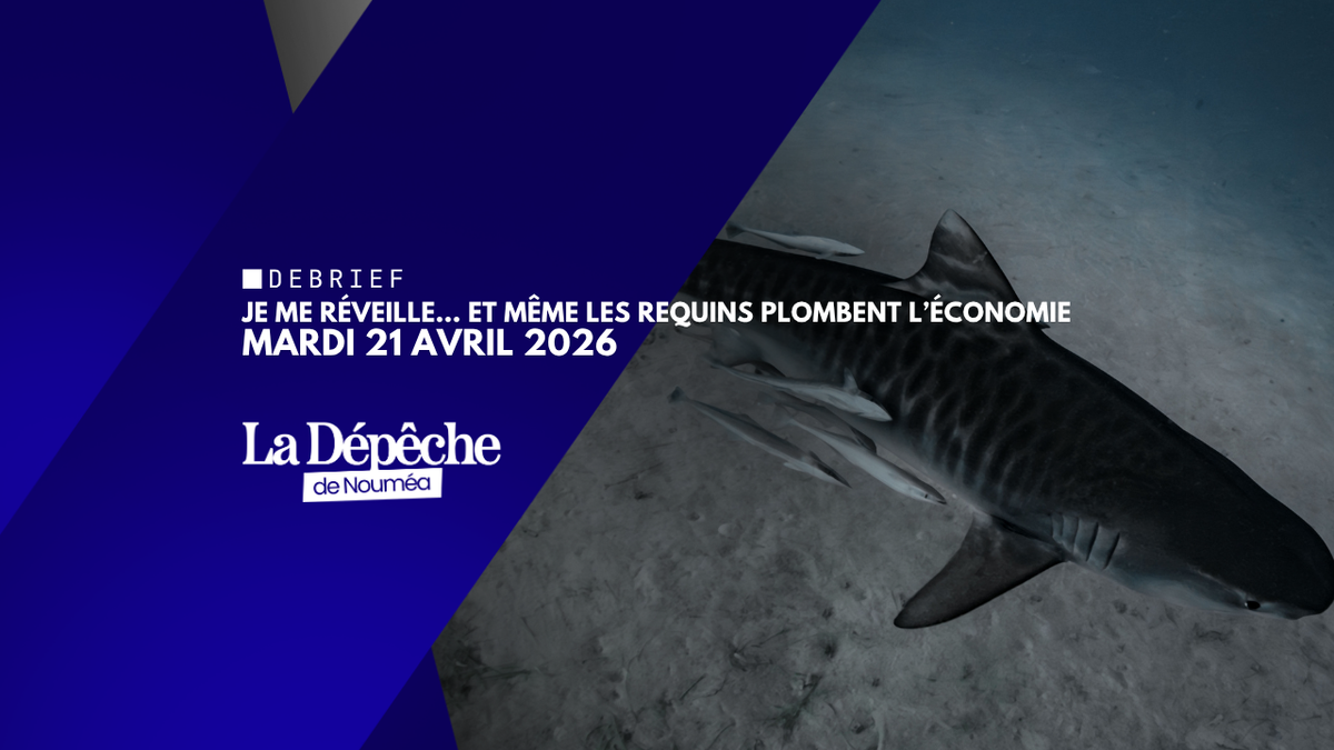Je me réveille, et même les requins plombent l’économie