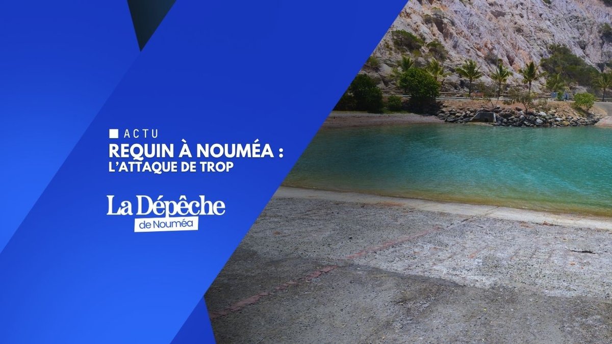 Attaque de requin à Nouméa : le lagon sous tension