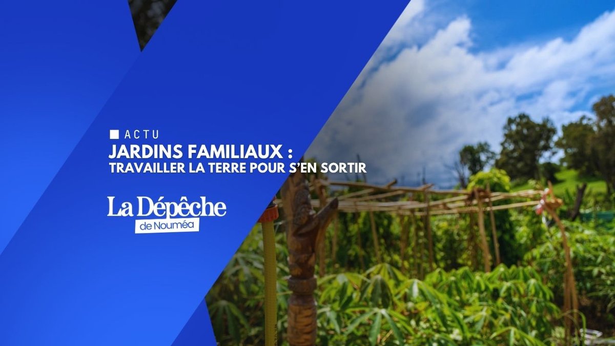 Face à la vie chère, ils reprennent la terre