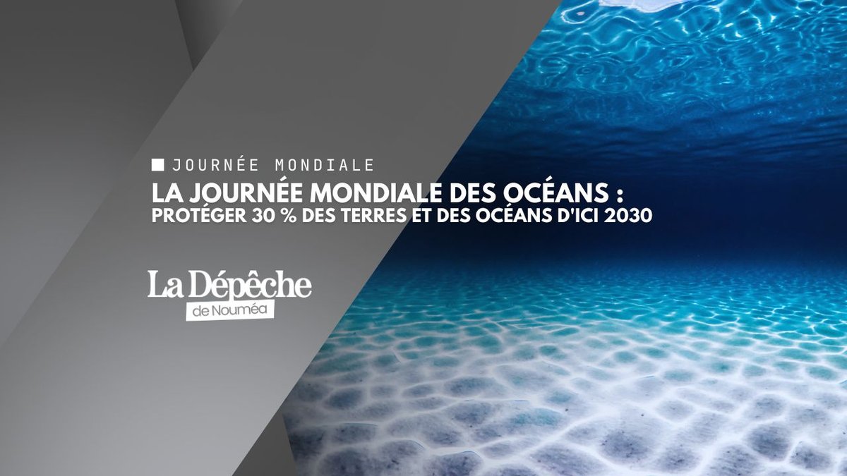 Journée mondiale des océans : l'appel du large ne souffre plus d'être ignoré