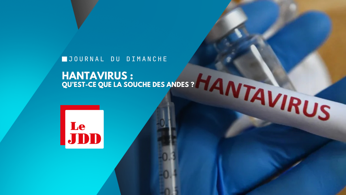Hantavirus : qu’est-ce que la souche des Andes ?