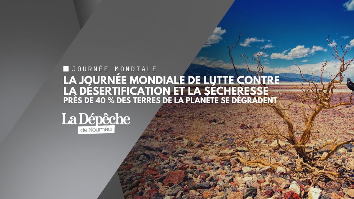 Journée mondiale contre la désertification : quand la terre se dérobe sous nos pieds