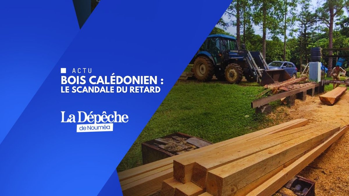 Filière bois : la CPME-NC dénonce des années perdues