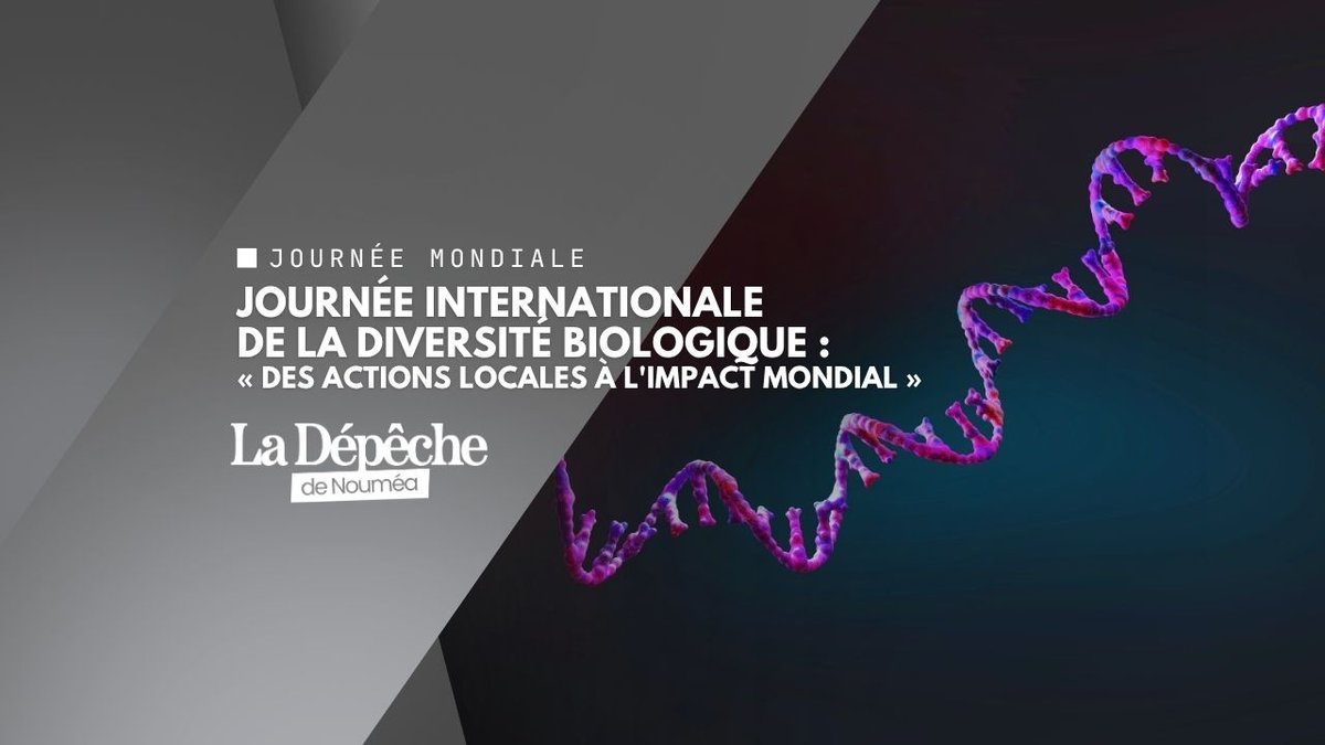 Journée internationale de la diversité biologique : trésor vivant sous pression