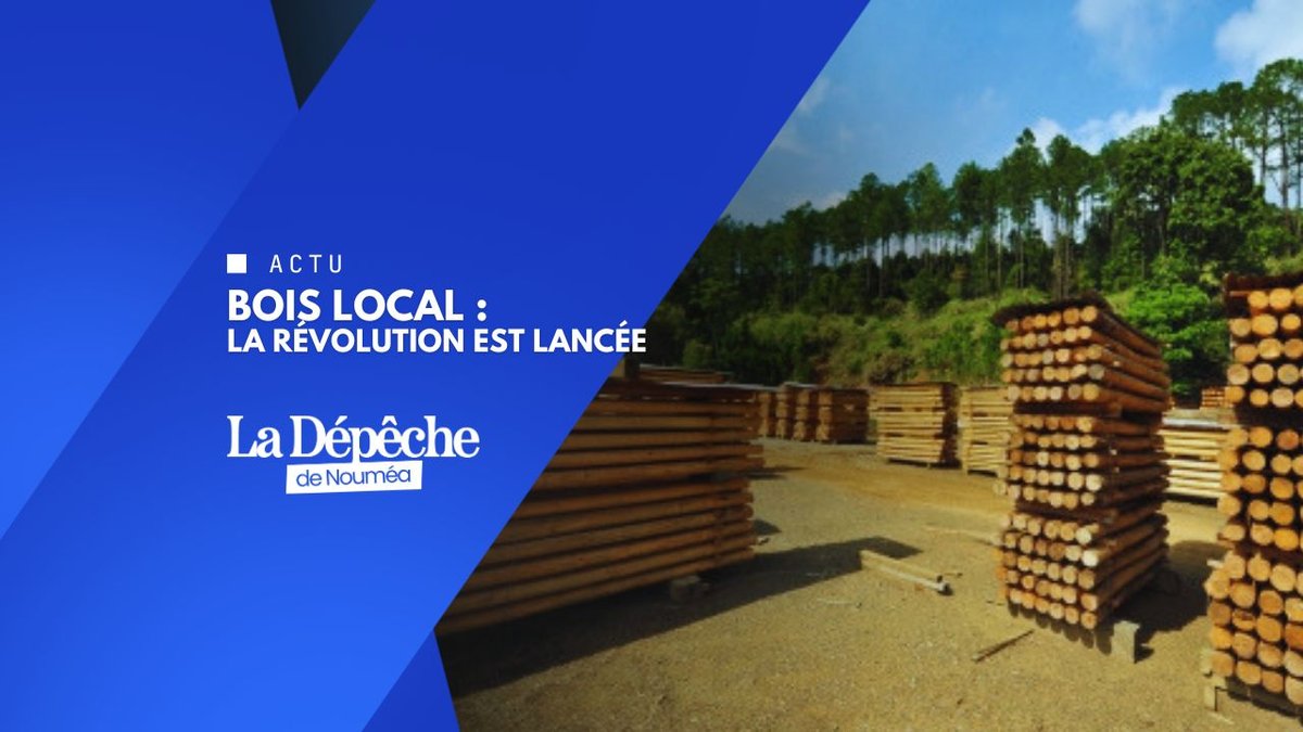La filière bois va-t-elle enfin décoller ?