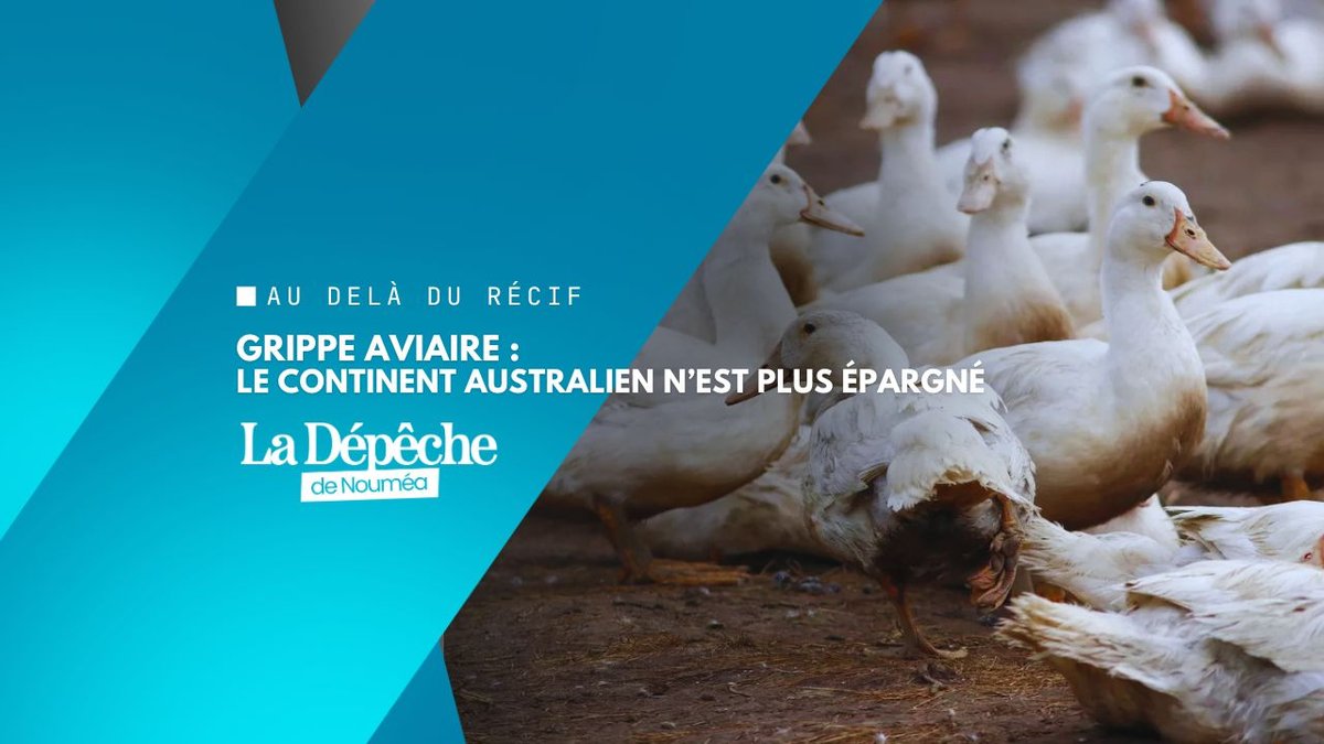 Ce virus redouté débarque enfin en Australie