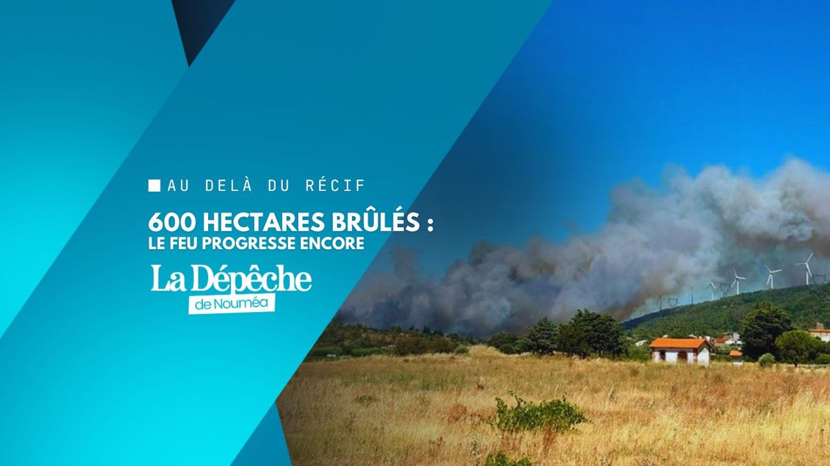 Catastrophe en cours : le sud ravagé par les flammes
