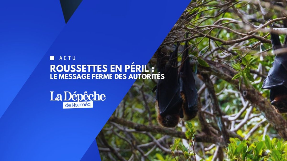 Braconnage : la Province Nord hausse le ton