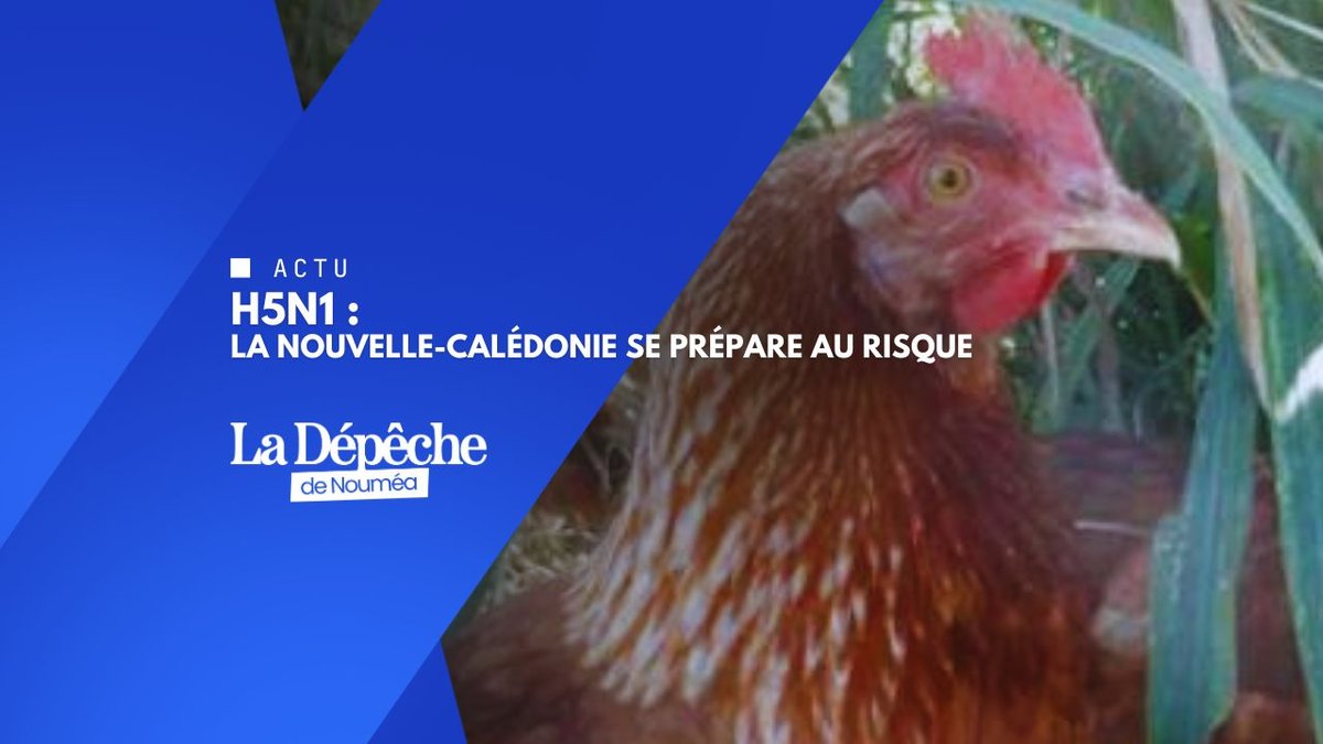La Calédonie sous surveillance
