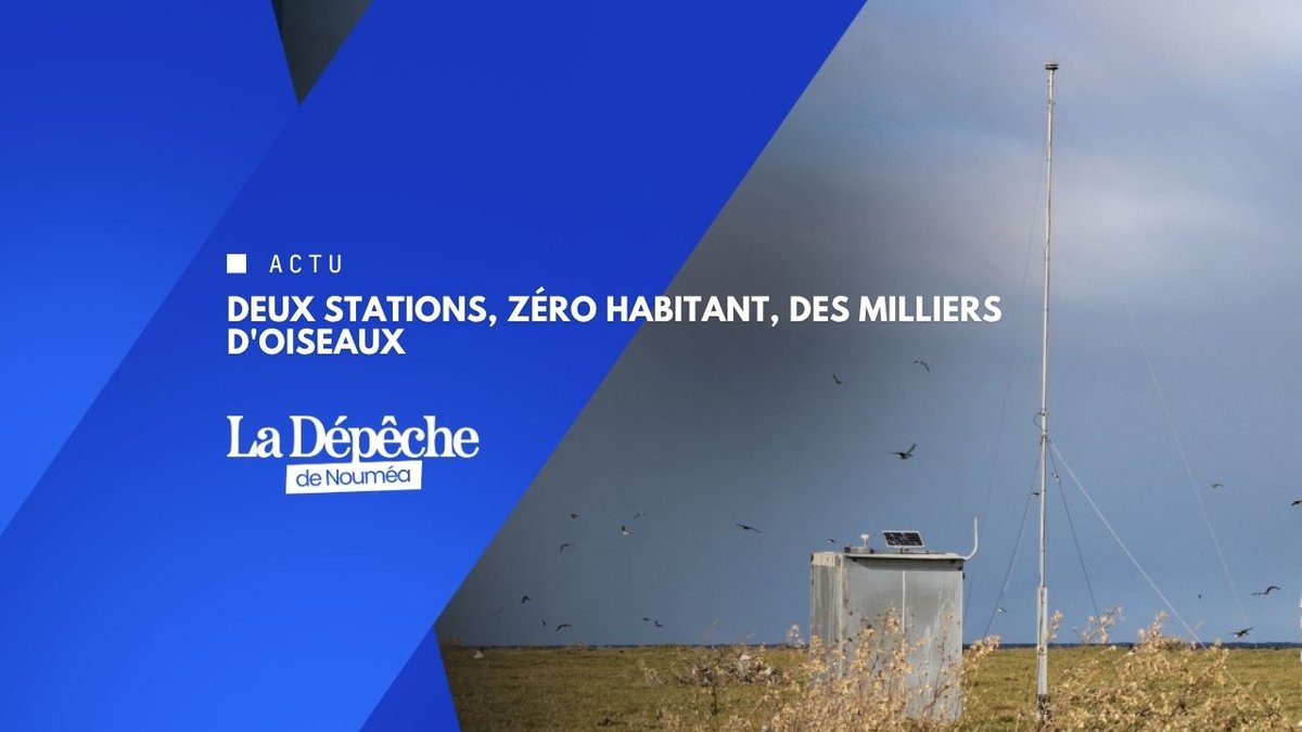 Les sentinelles oubliées de la mer de Corail