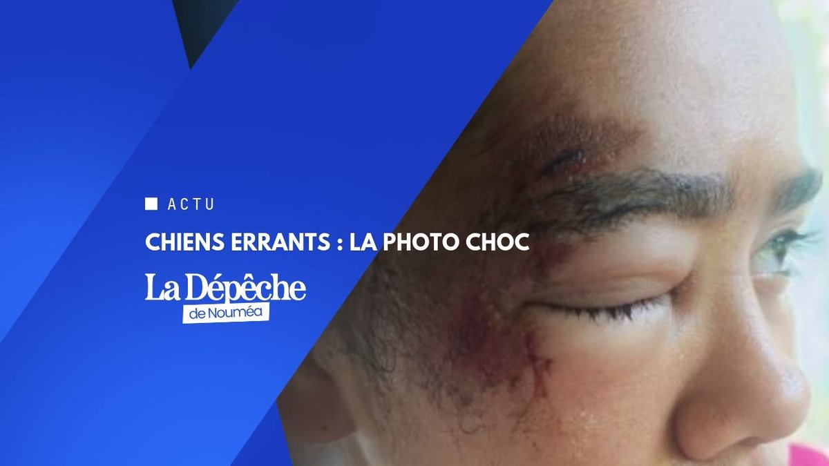 « Attachez vos chiens ! »