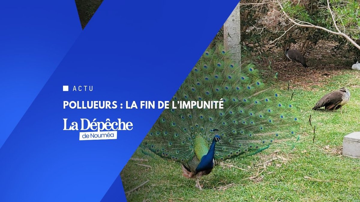 Ils polluent, ils paient