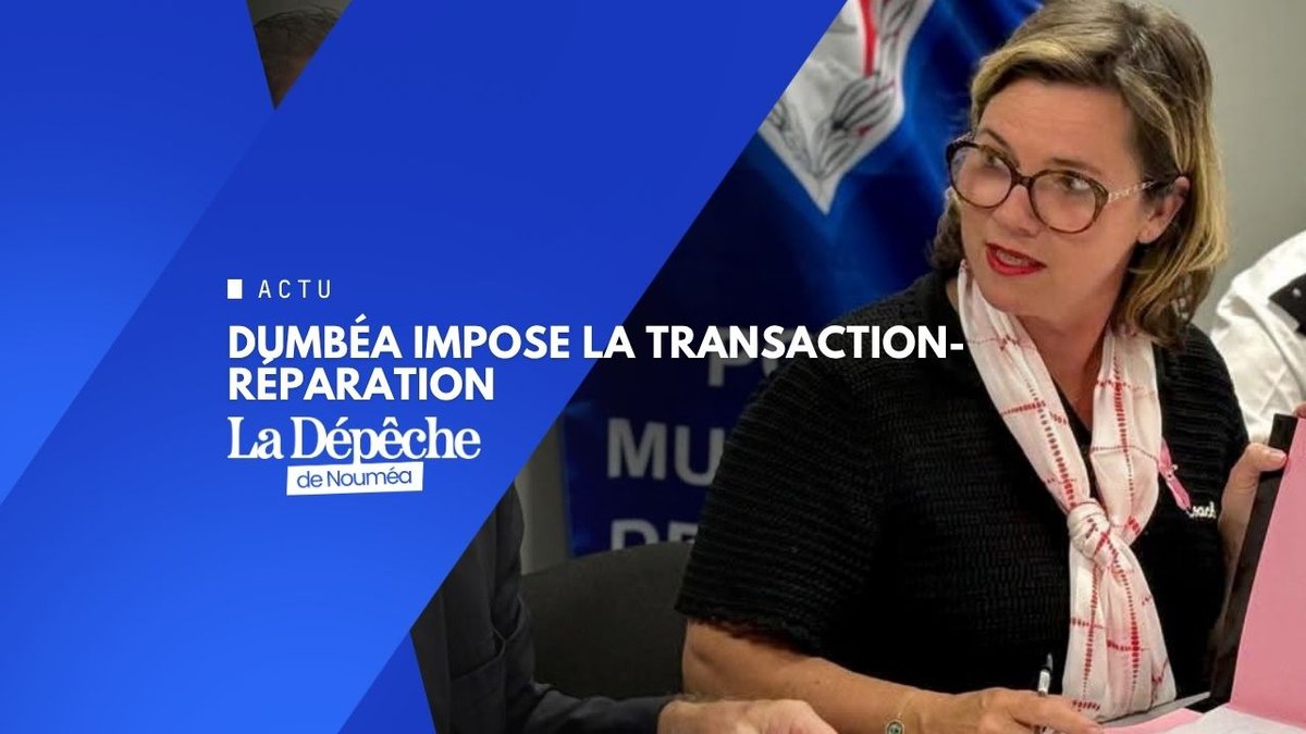Tu casses, tu répares : c'est à Dumbéa