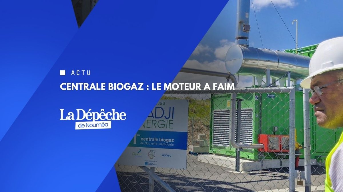 Gadji : 8 000 MWh promis, 4 137 livrés