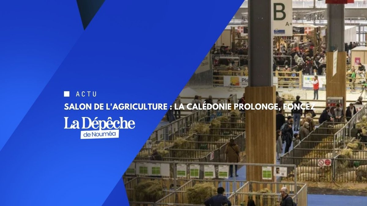 SIA 2027 : la Calédonie recrute ses champions