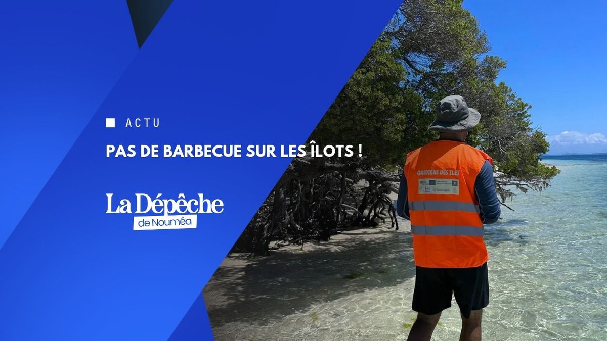 Païta : la guerre au cactus est déclarée