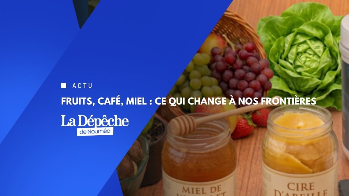 Importateurs : retenez le 19 octobre